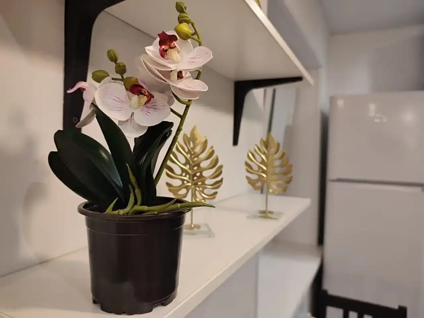 Апартаменты Владдом25.ру На Посьетской