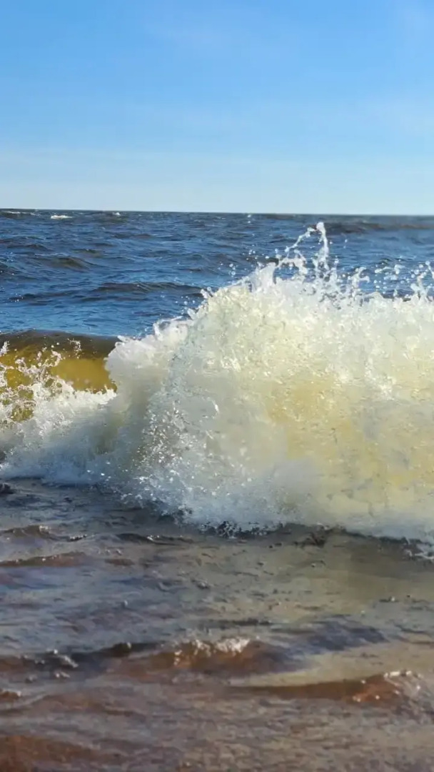 Гостевой дом Лисий берег