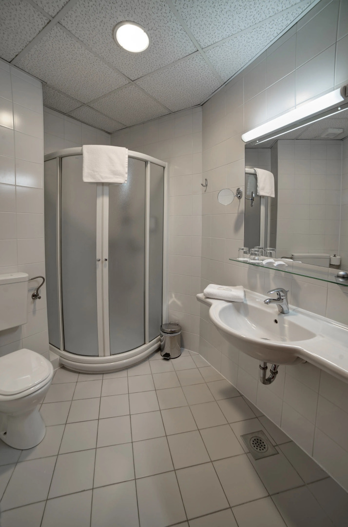 Отель Grand Hotel Rogaška