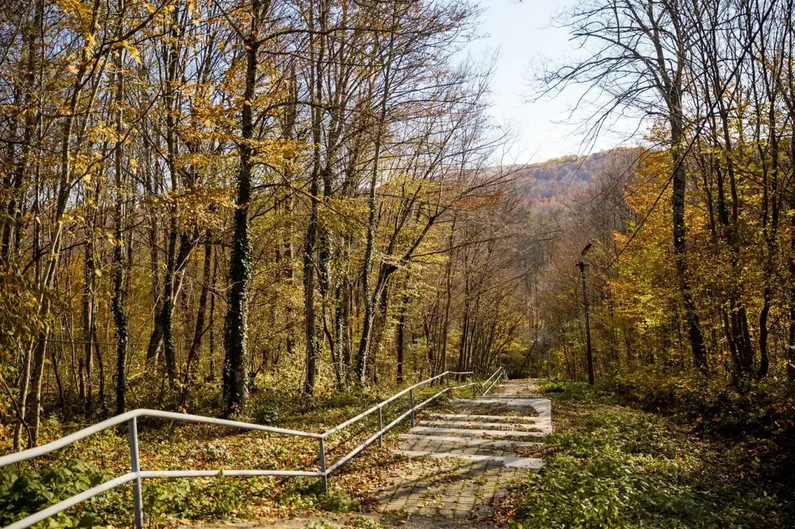 База отдыха Горный Воздух