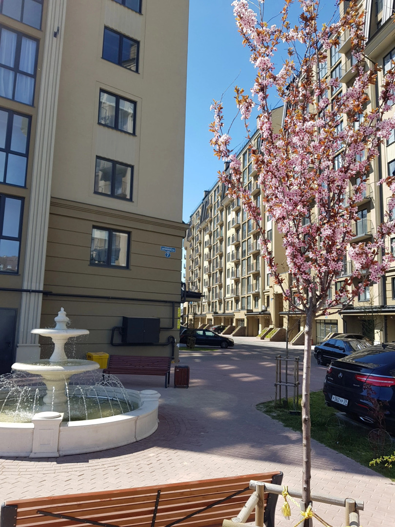 Квартира Кранц-Престиж в Центре Зеленоградска