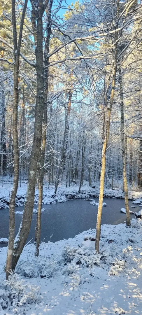 Частный дом Аскелма-Сосна