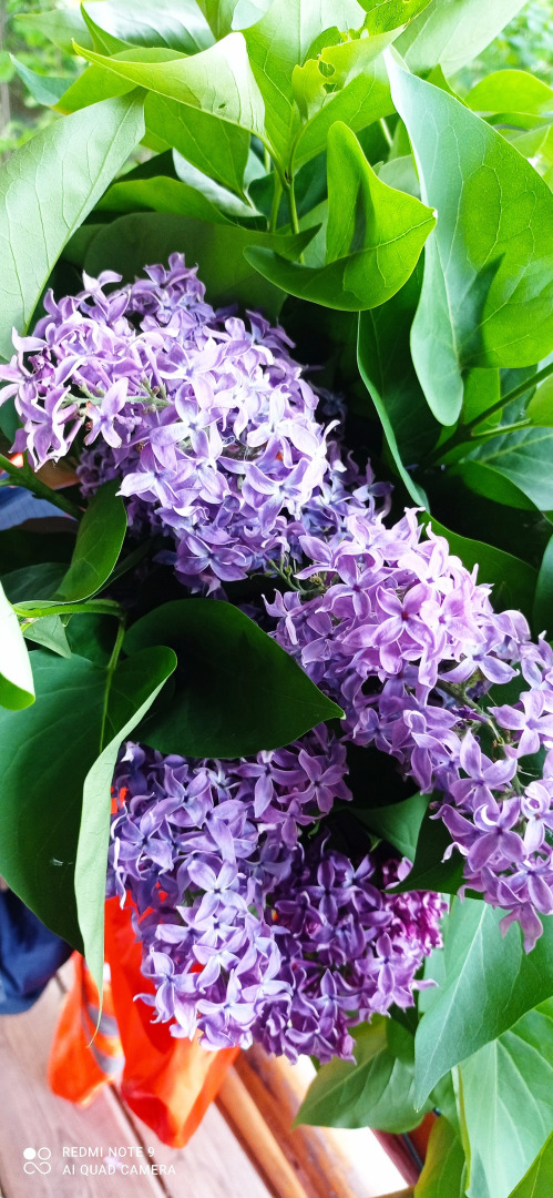 Отель Дом солнца