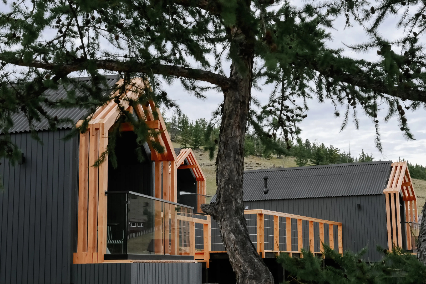 Парк-Отель Алтан