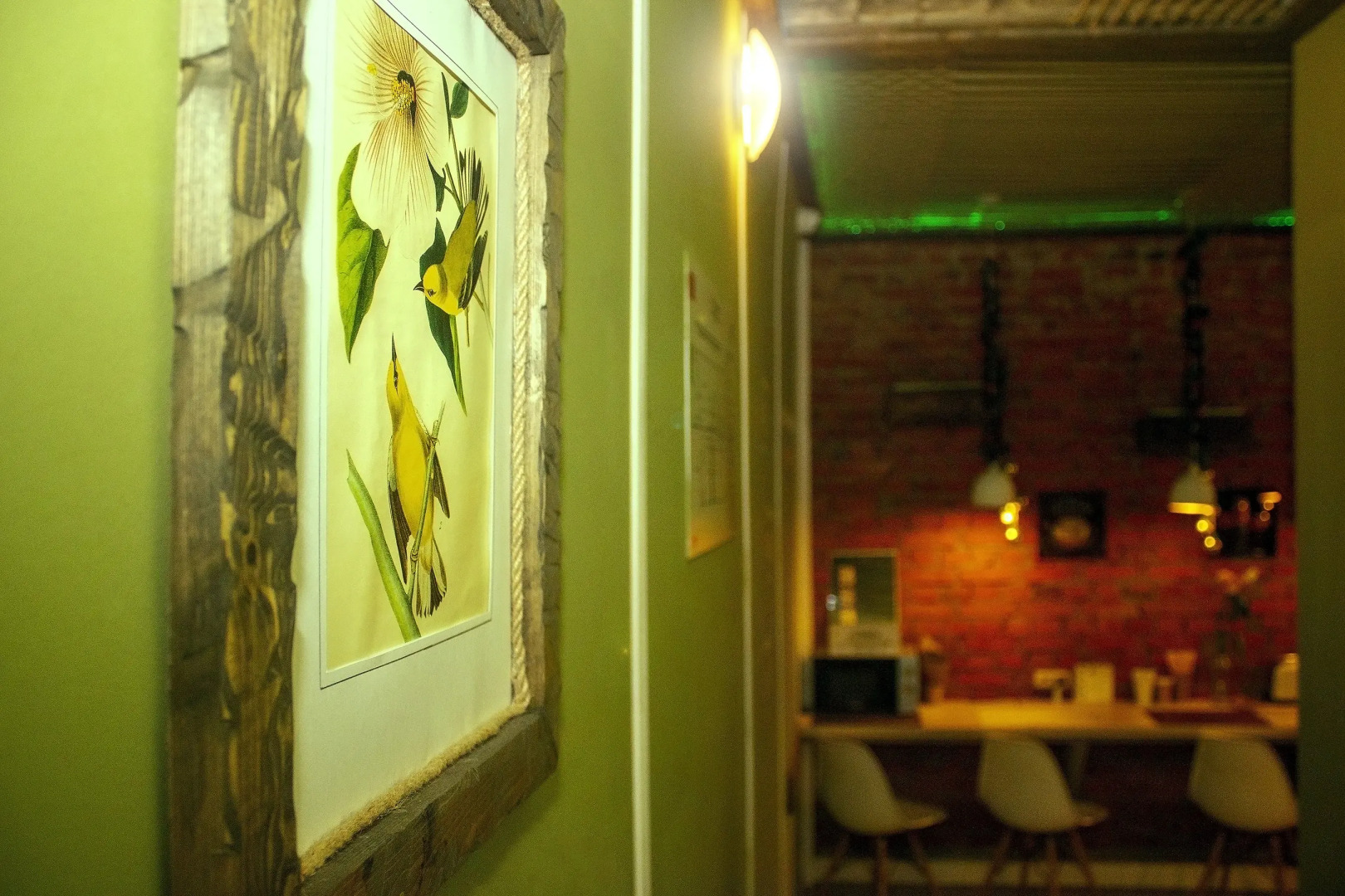 Отель Олива