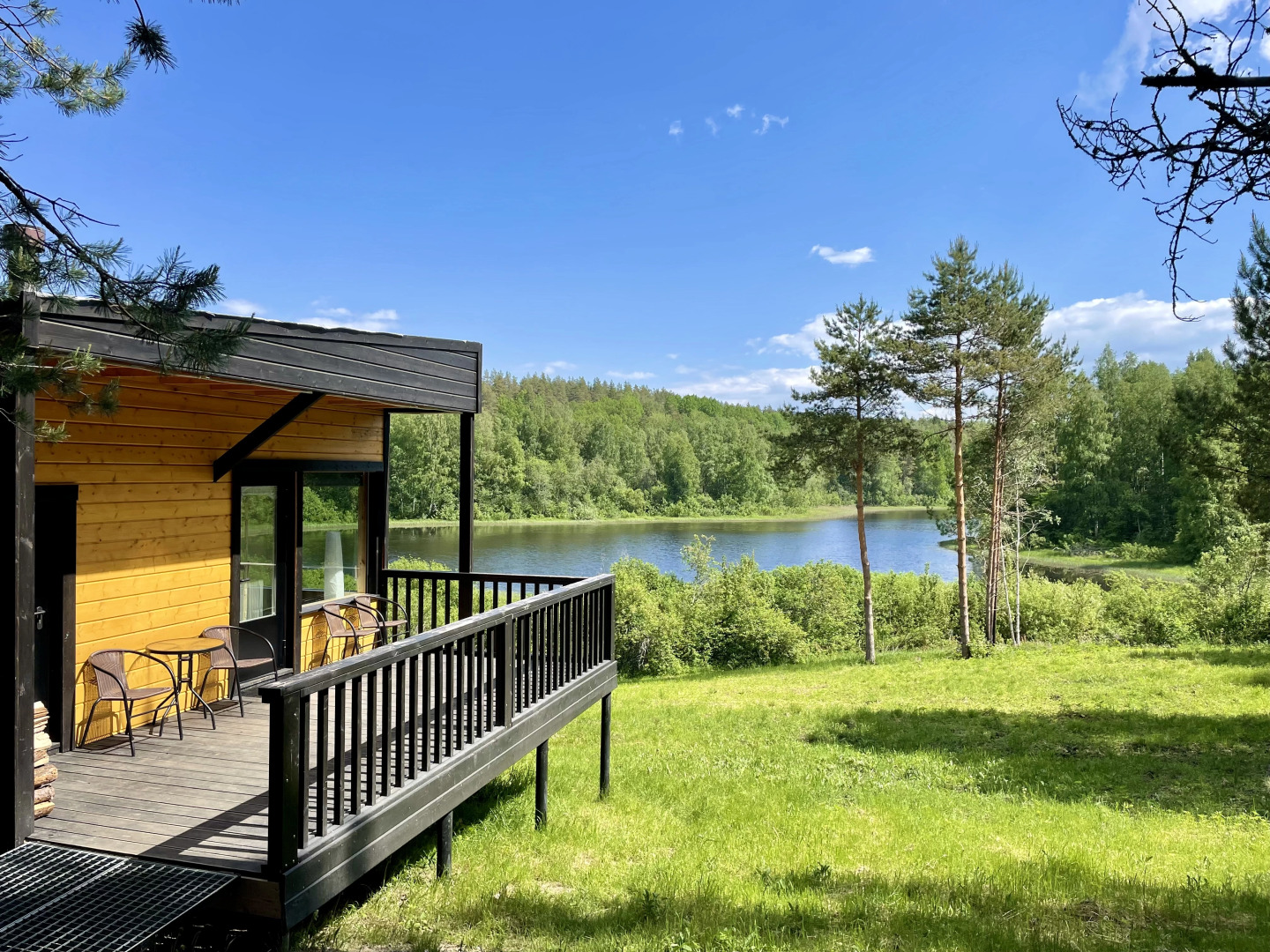 Частный дом Дом отдыха Холмово в диком лесу на берегу реки с панорамными окнами