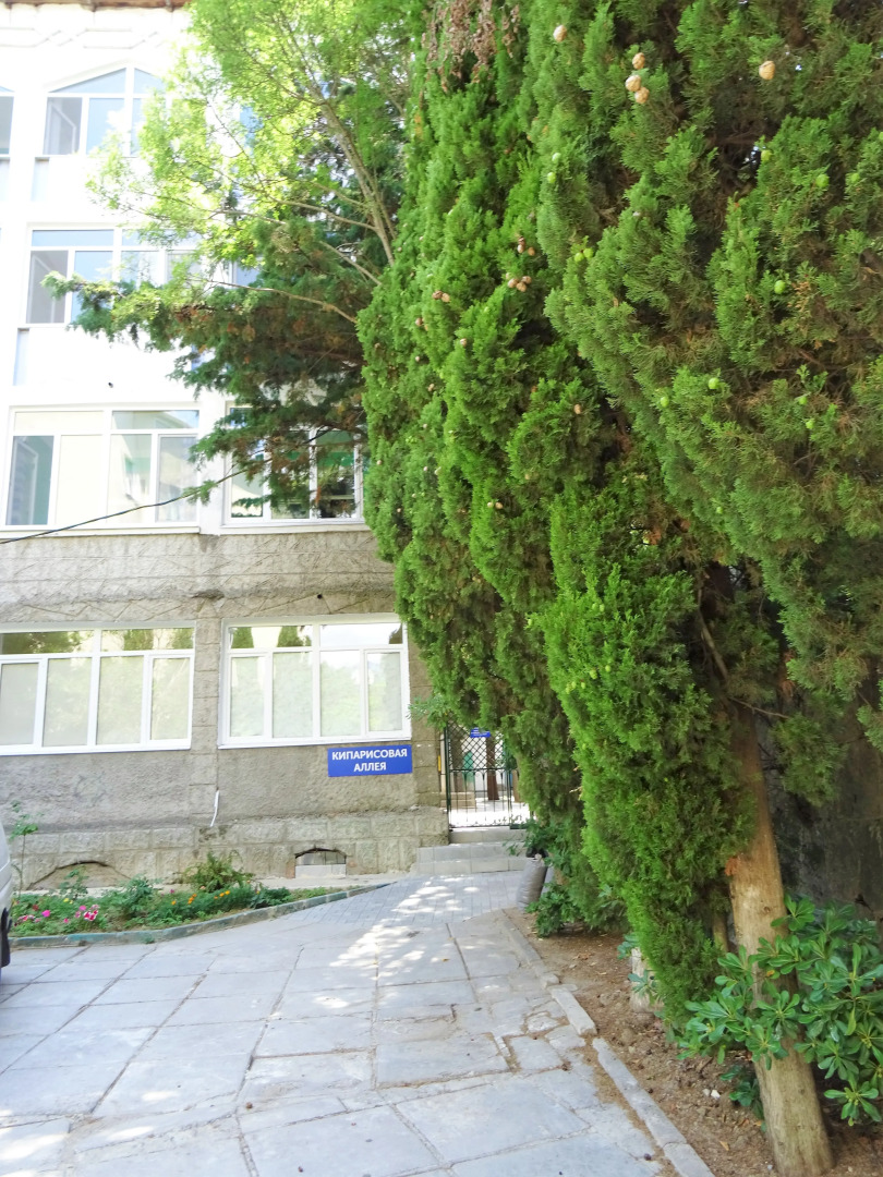 Гостиница Кипарисовая Аллея