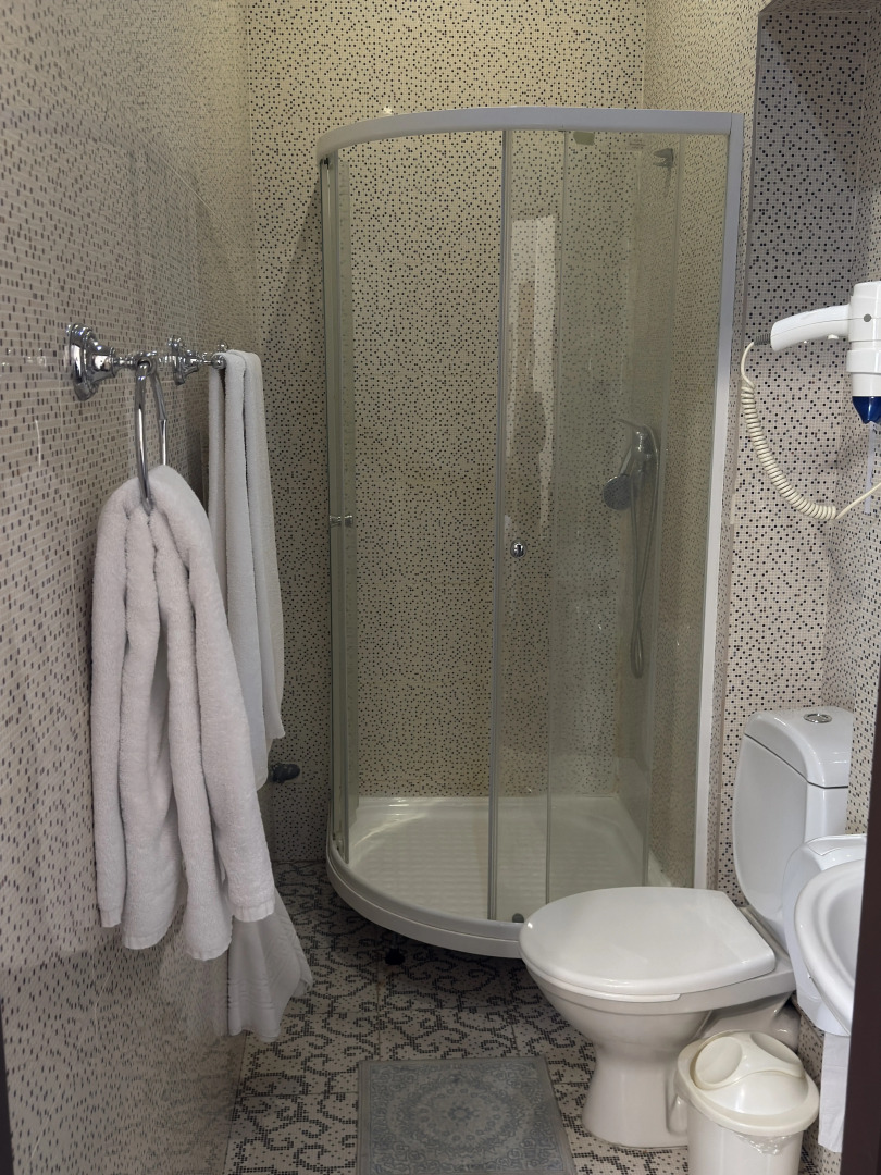 Отель Saya Hotel Almaty