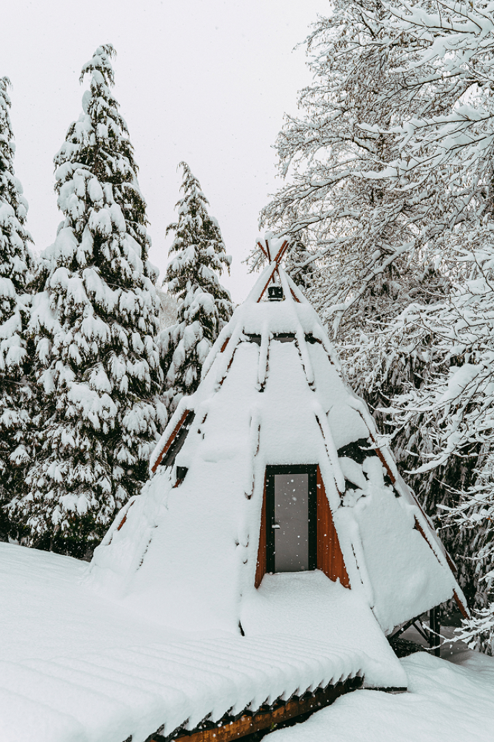 Отель Загородный отель Pine River Красная Поляна