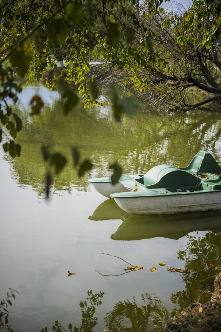 Отель Rico Rancho