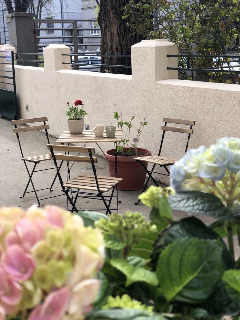 Хостел Cabbage Hostel