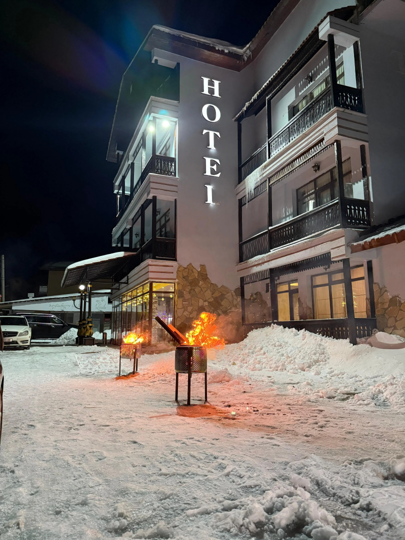 Отель Travel Inn Bakuriani