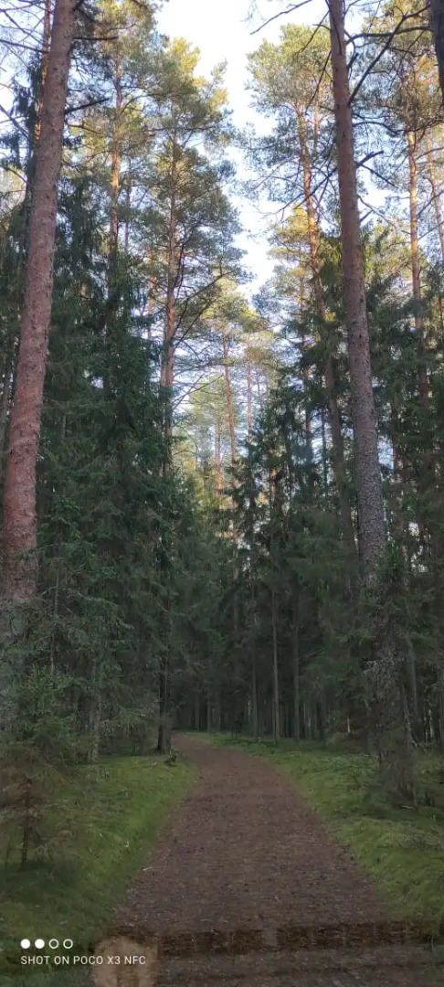 Частный Дом Сосны