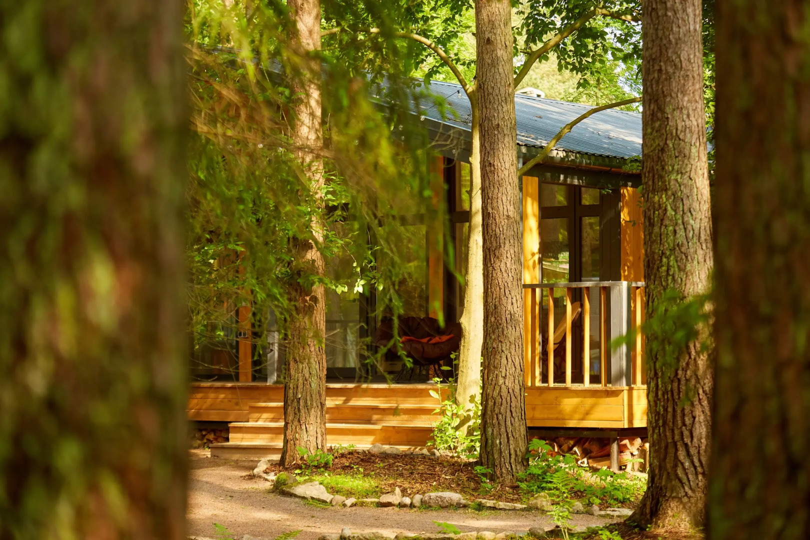 Частный дом Большая Репинская дача в лесу