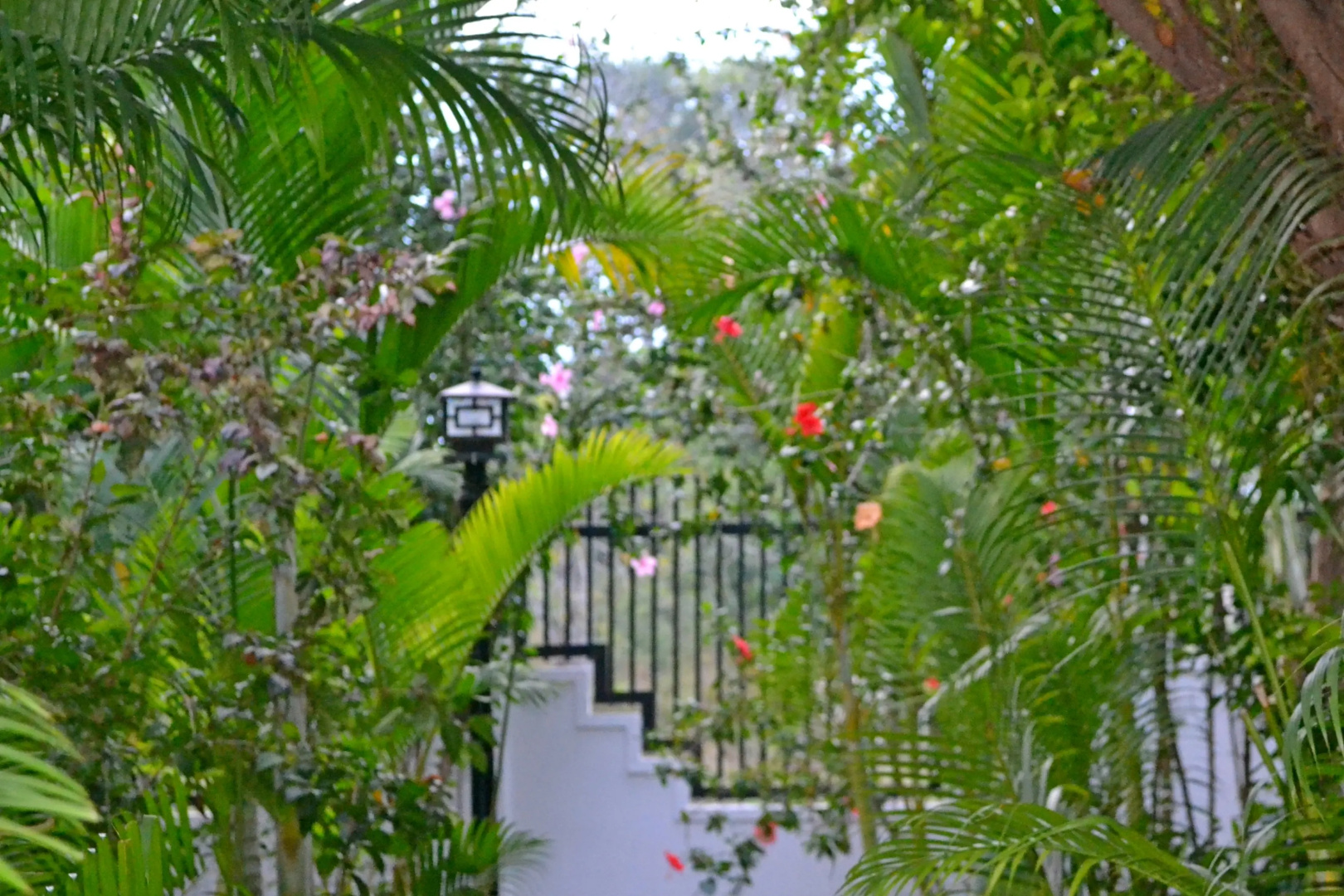 Вилла Nature Boutique Residence