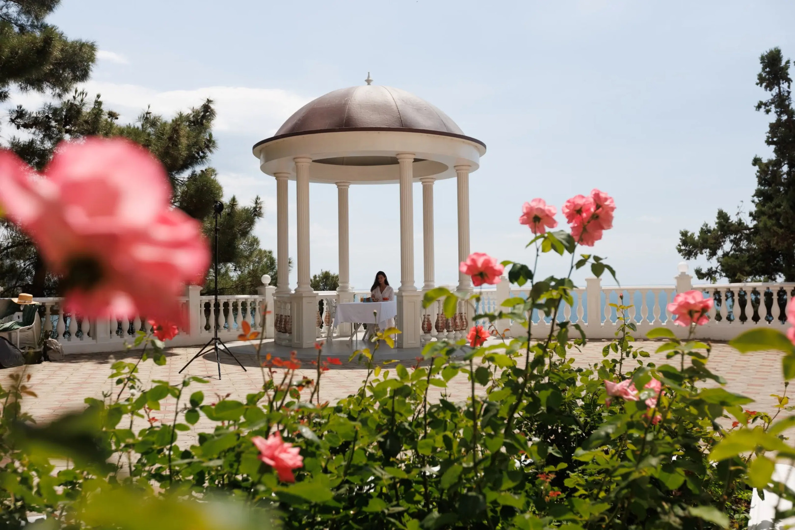 Санаторий Климатический курорт Сосновая Роща