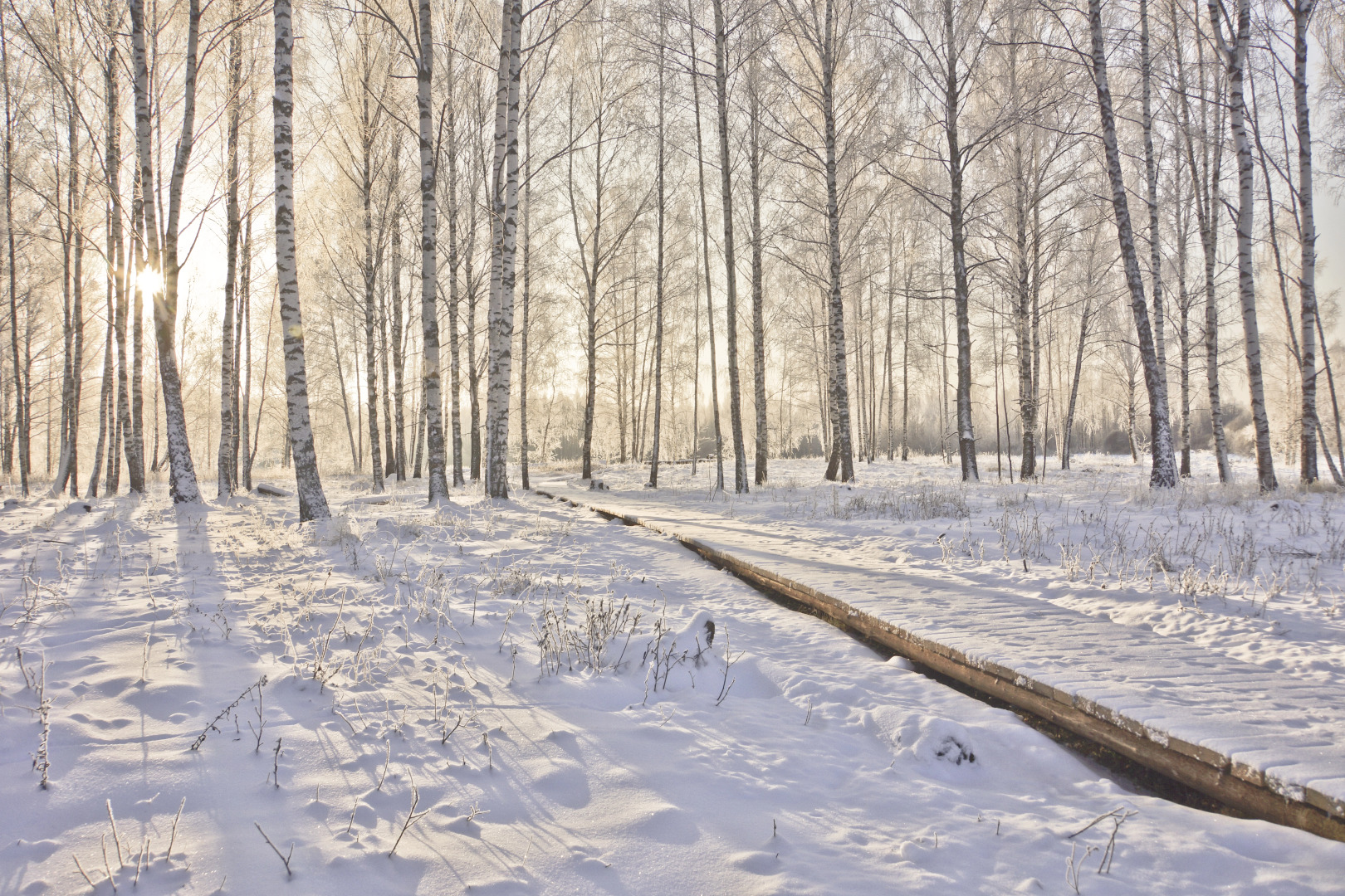 Семейный отель Лесной берег