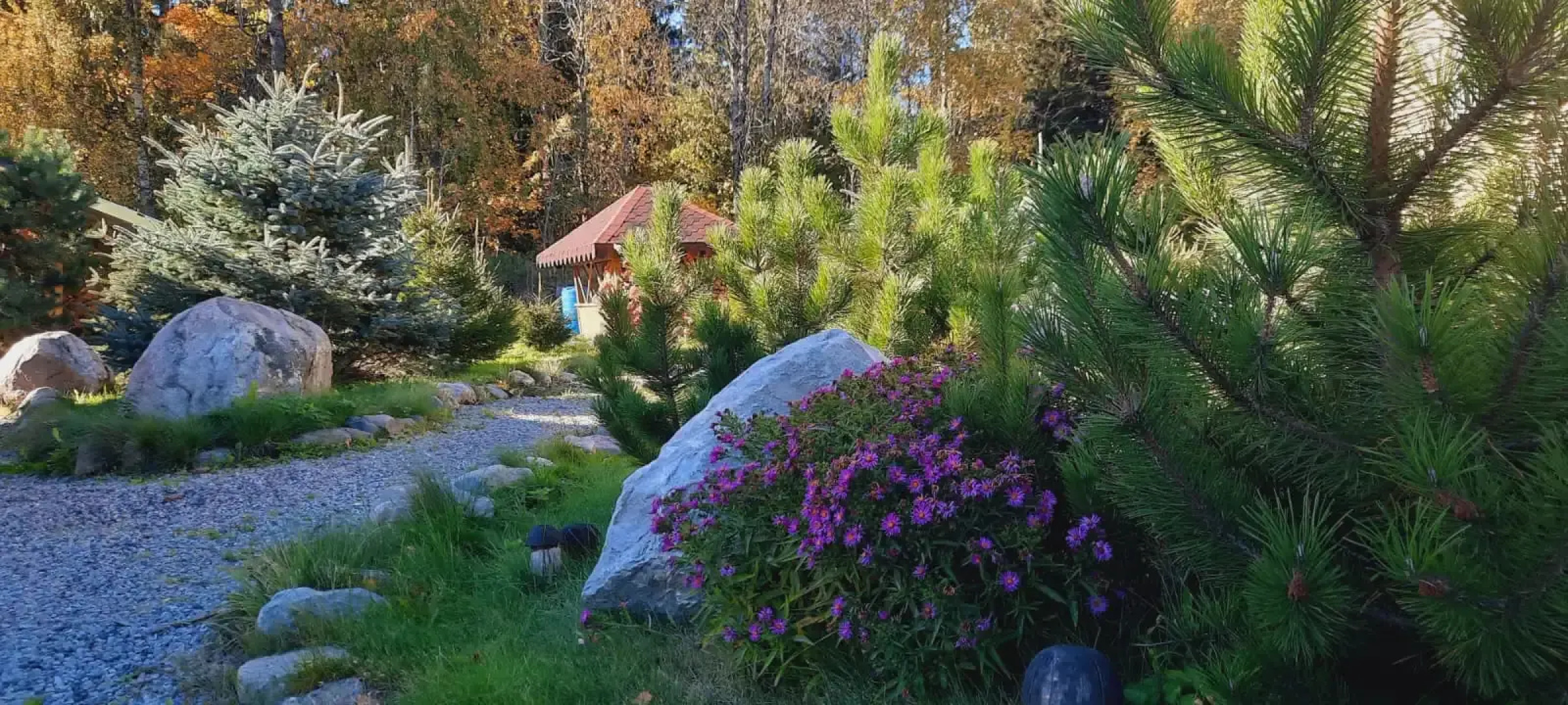 Гостевой дом с выходом в лес