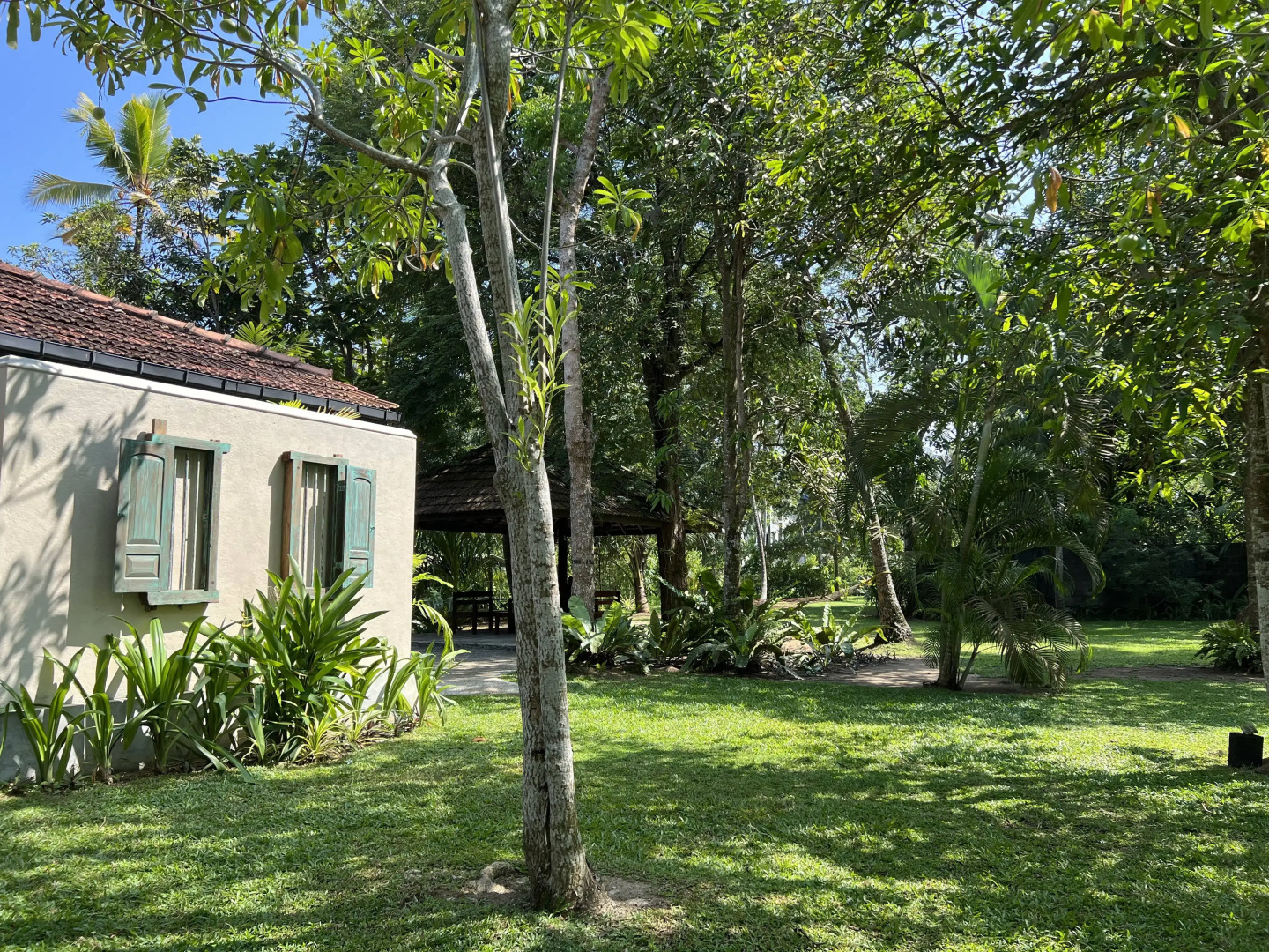 Вилла Ayurveda 386