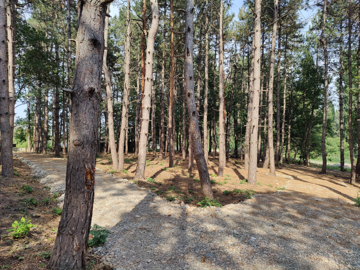 Отель Миррос Монтис Медиспа Пятигорск 5