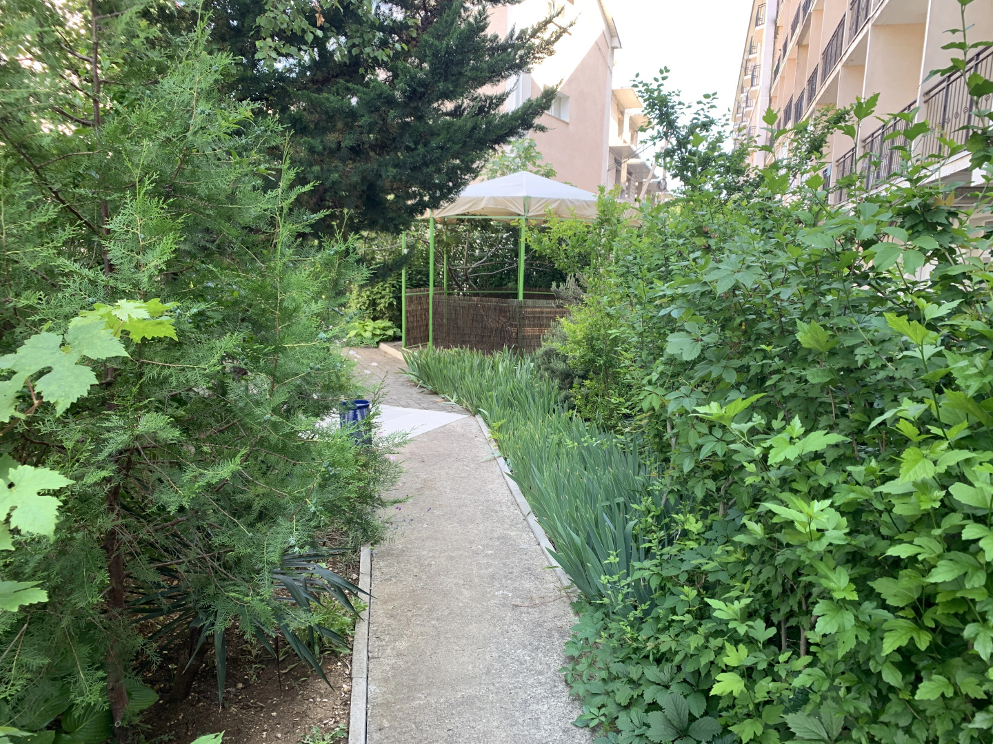 Отель Амалия