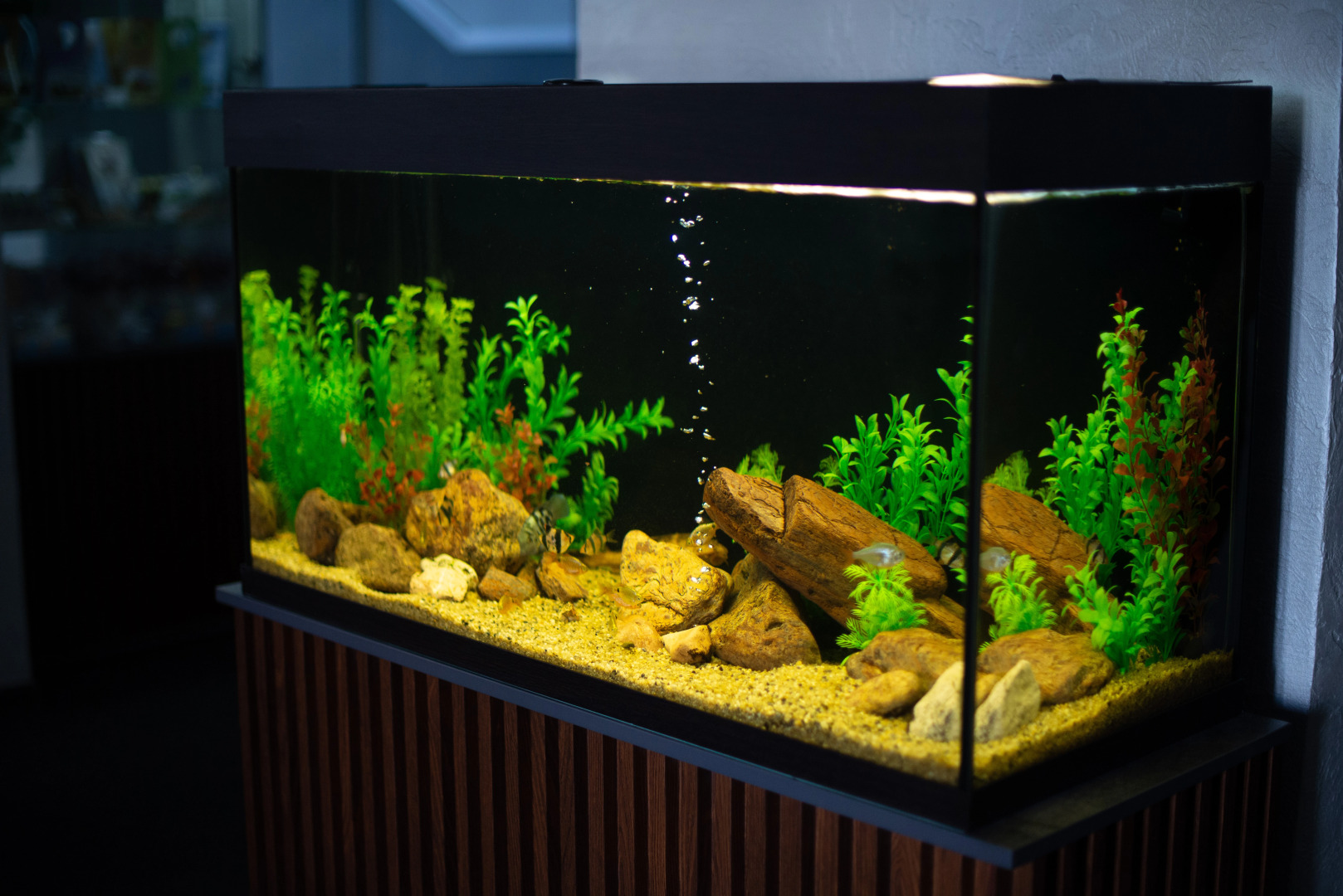 Отель Орион