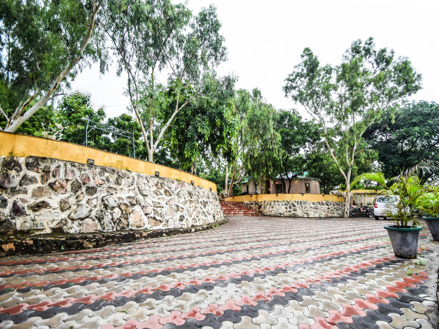 Отель The Space Jungle