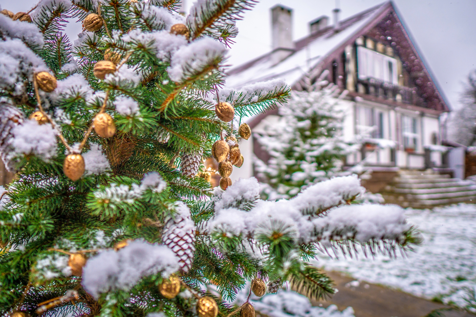 Гостевой дом Усадьба Беловежское Поместье