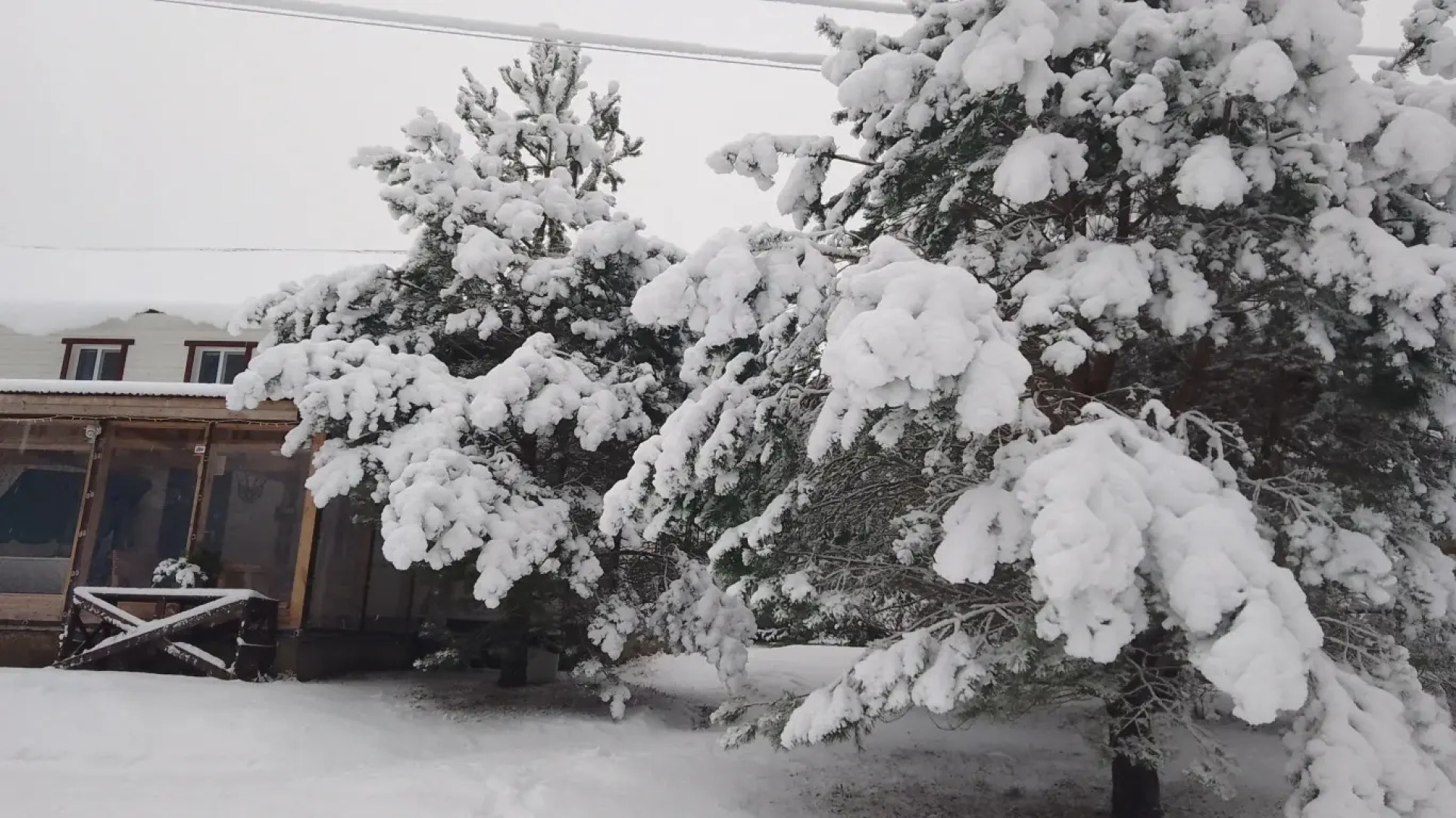 Частный дом Хитрый Лис