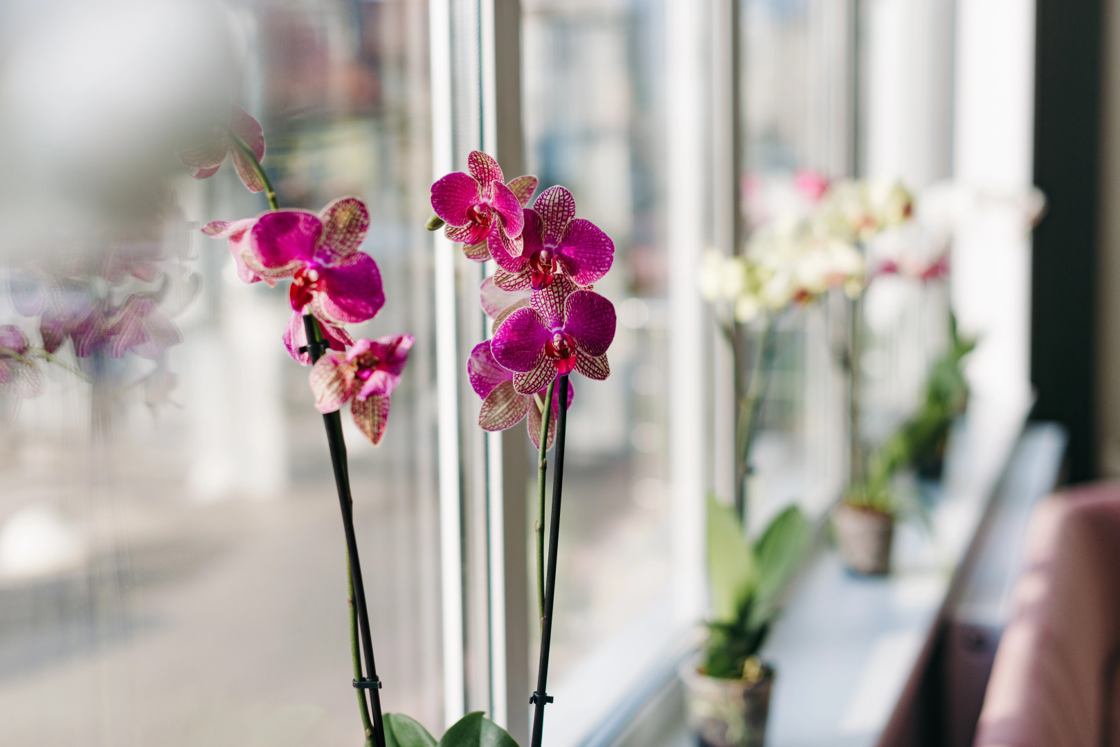 Отель #ИВАНОВООТЕЛЬ