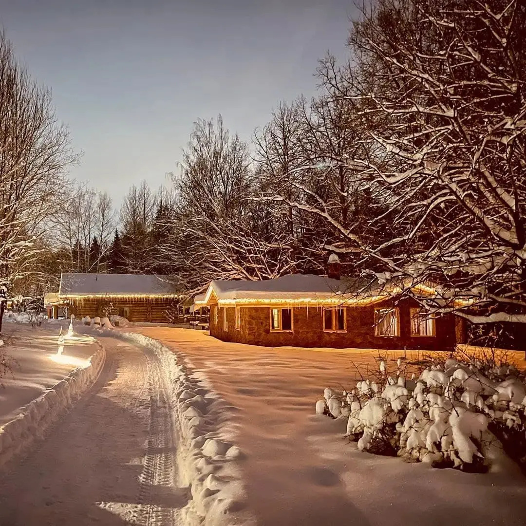 База отдыха Дубки