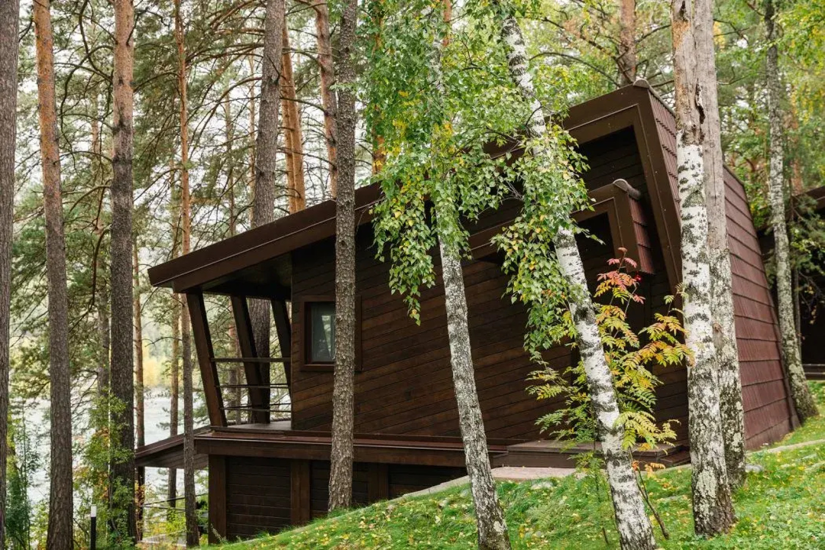 Отель Парк Шишка