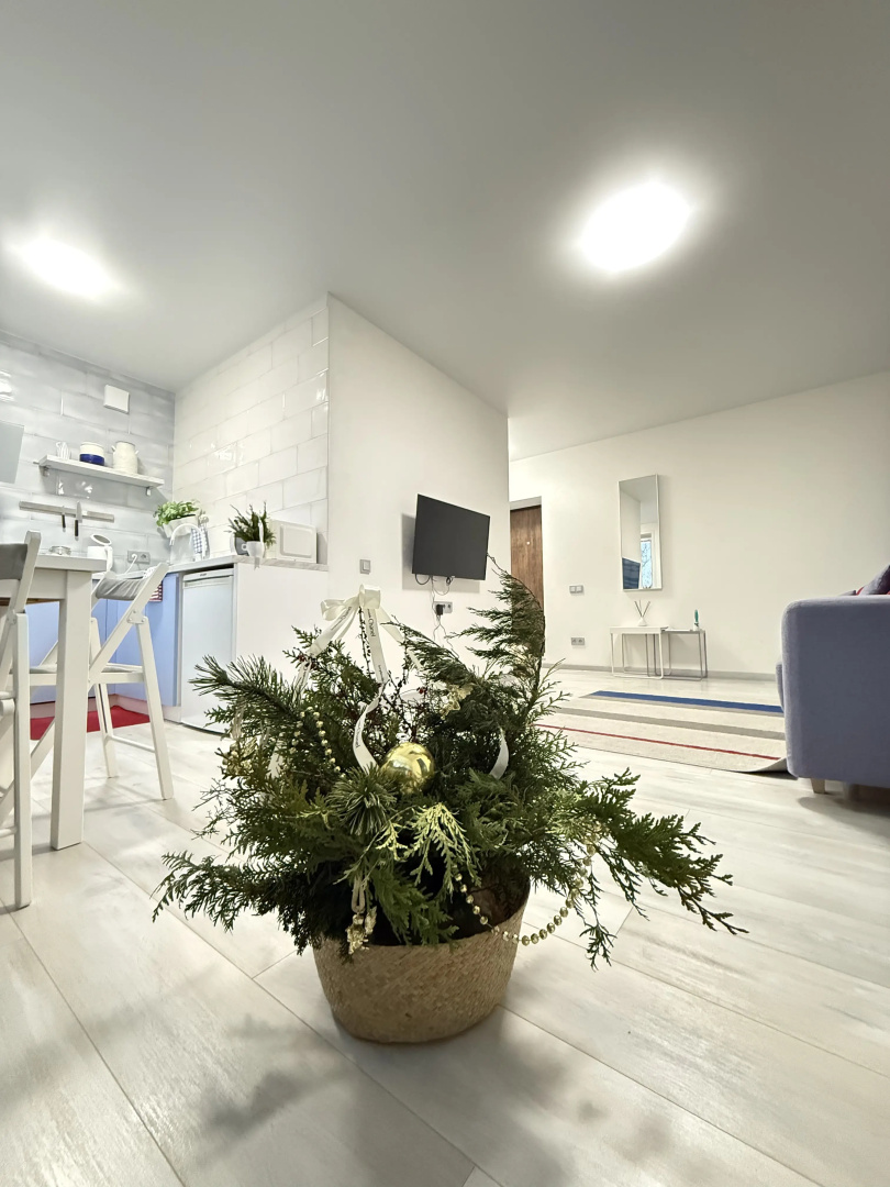 Апартаменты BLUE от семейной сети Mascaron Apartments