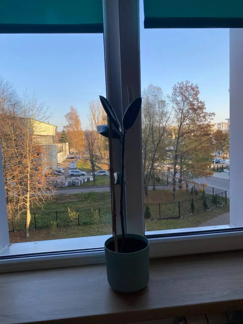 Квартира В самом центре