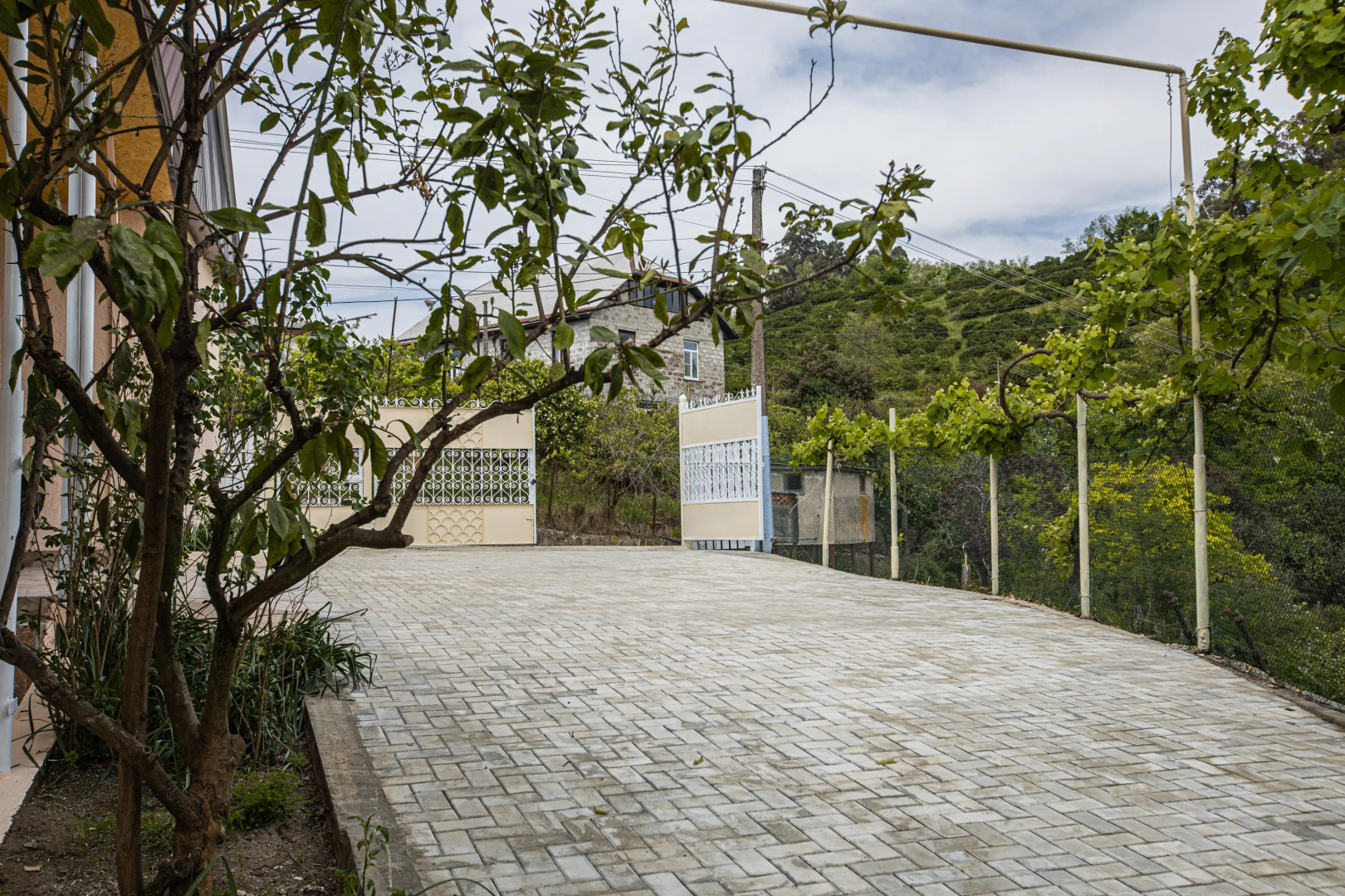 Частный Дом с мандариновым садом