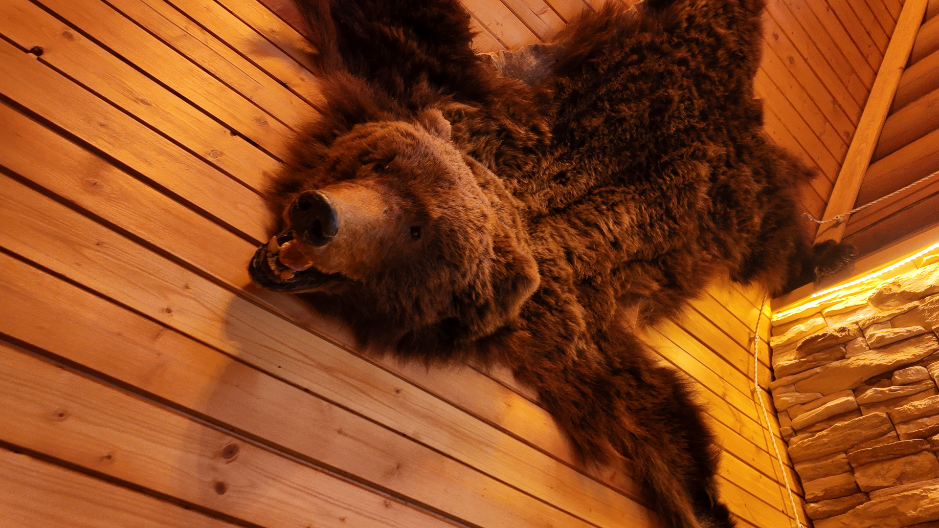 Гостевой дом Васнецовский домик