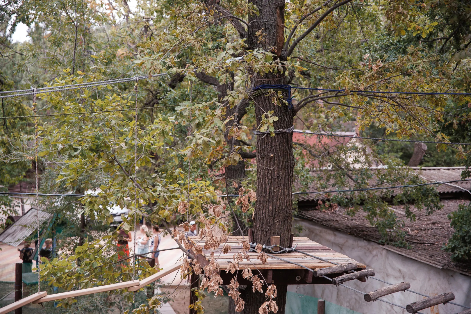 База Отдыха Дача Поддубного