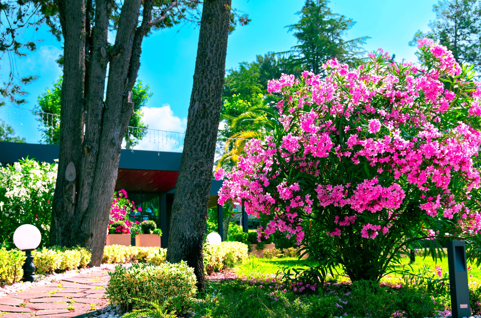 Апартаменты Лазурные в Лучезарном