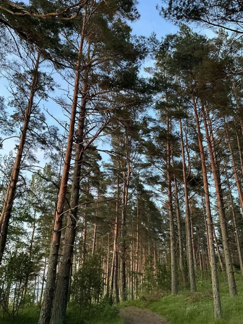 Частный дом Алатирва