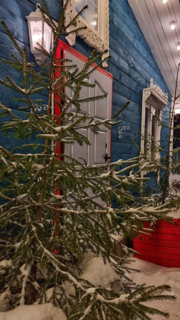 Гостевой дом В лесу