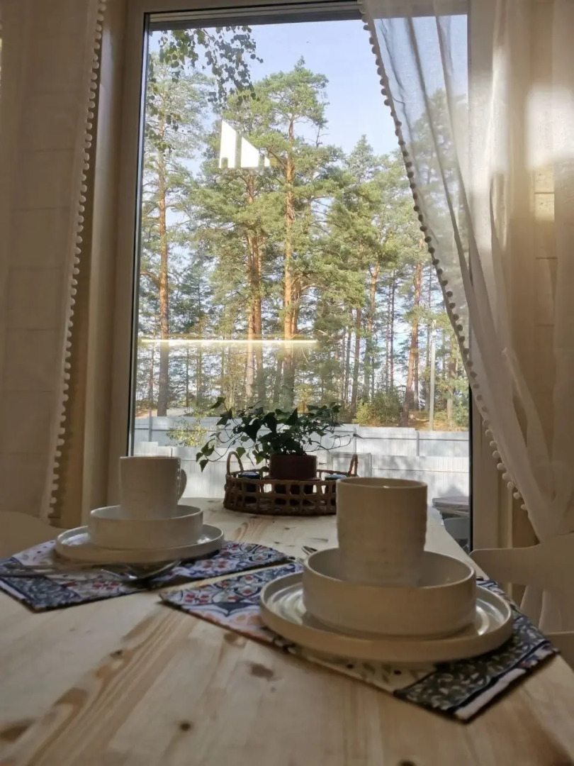 Частный дом Хвойный