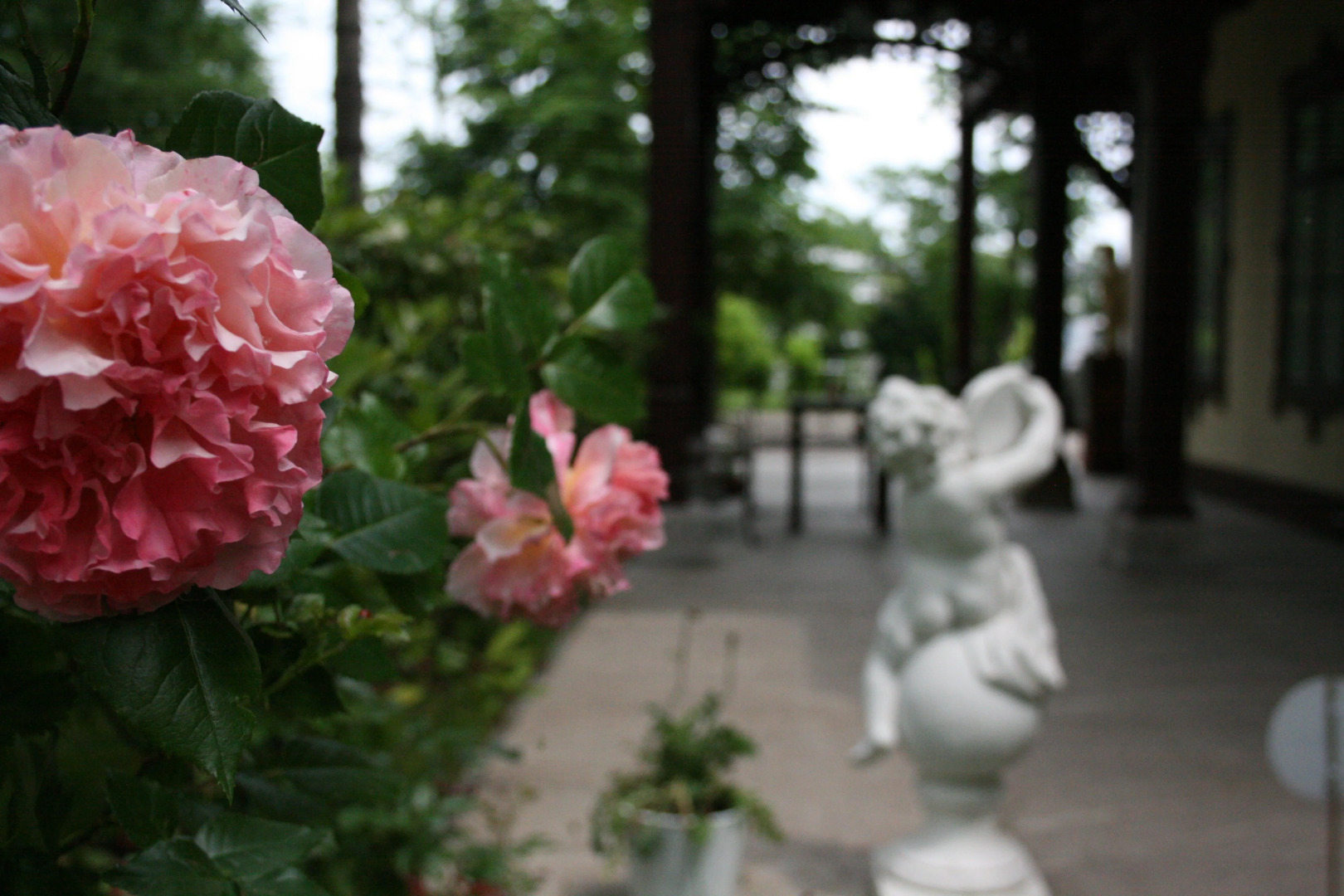 Апартаменты Villa Musik