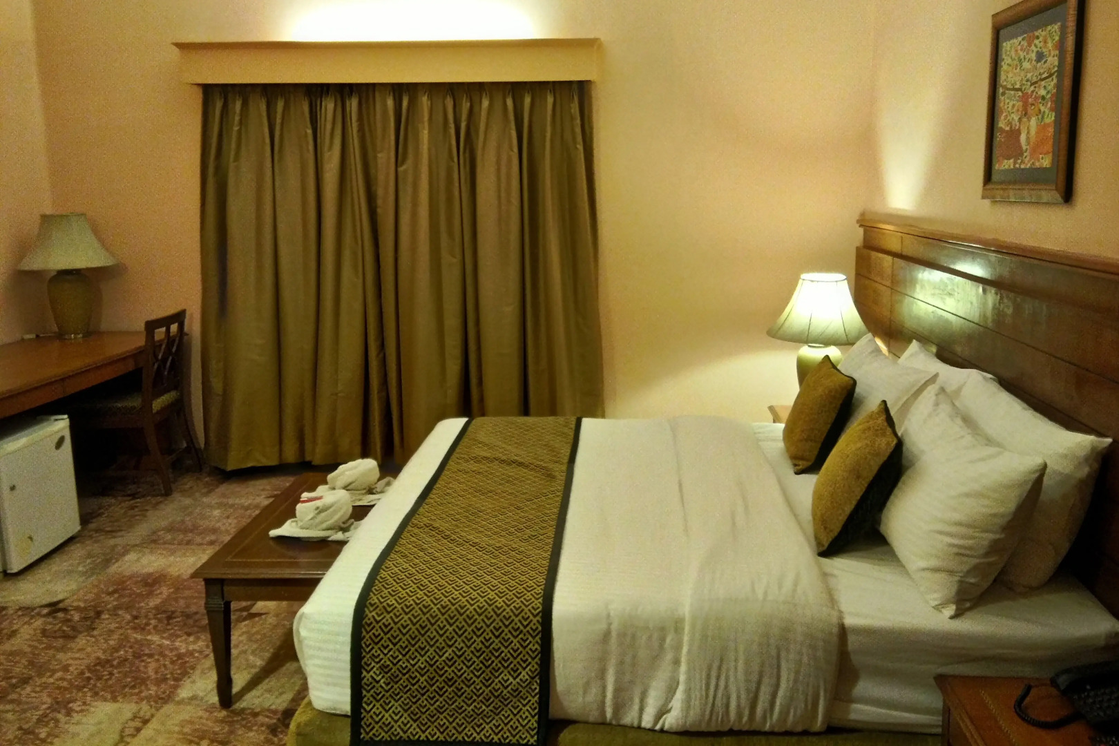 Отель Dayal Lodge