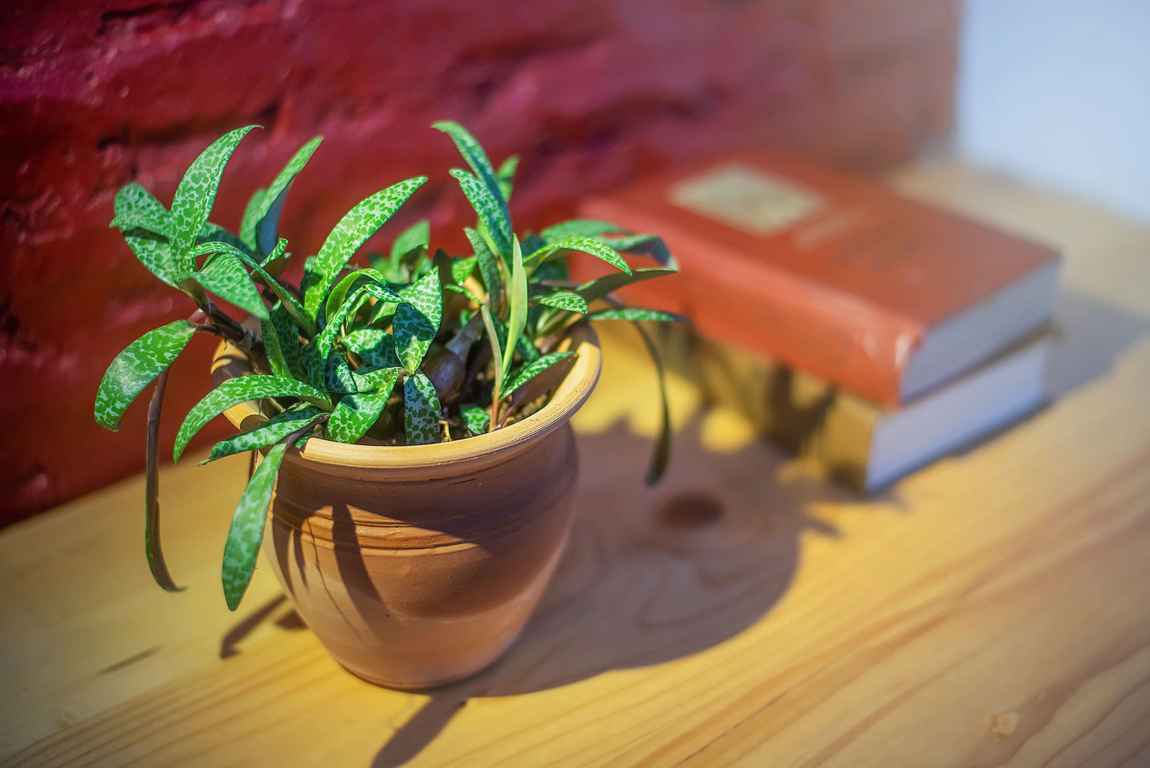 Апартаменты HB apartments Sartichala