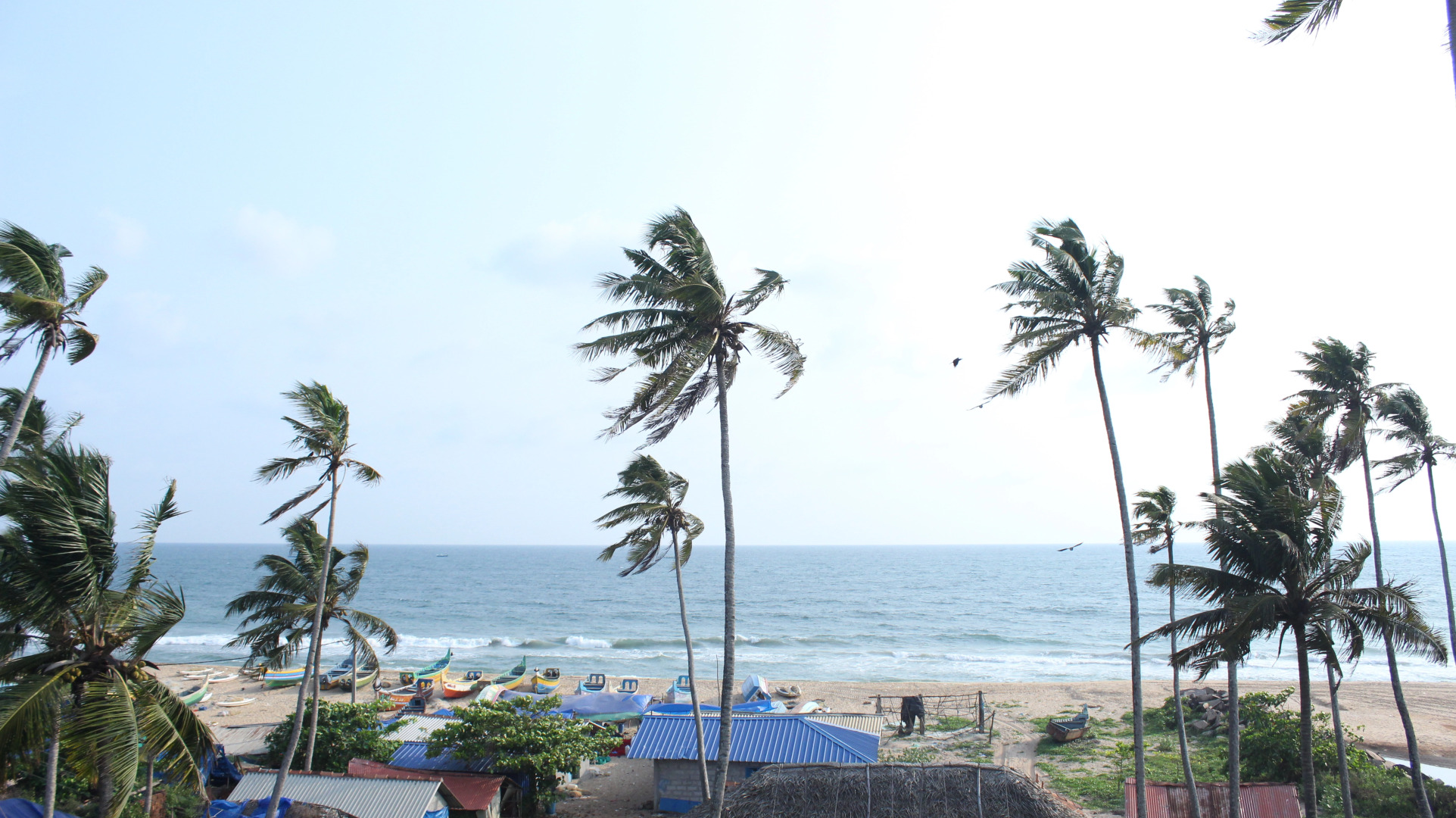 Отель True Blue Beach Resort