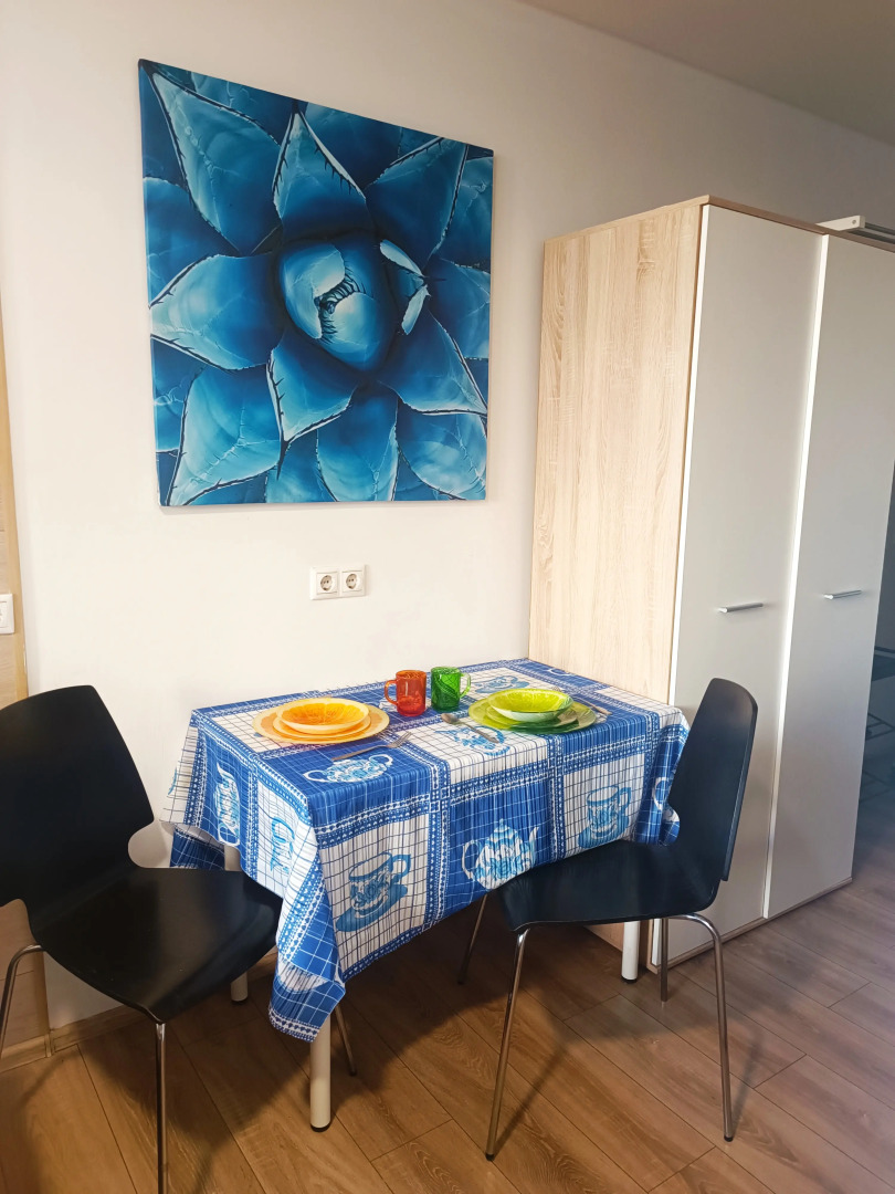 Апартаменты Studio Crocus №1 на Ильинском 2А