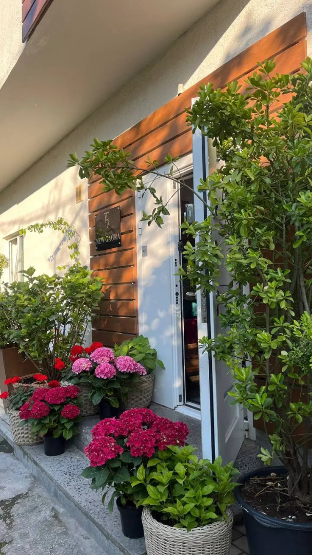 Мини-отель Travel