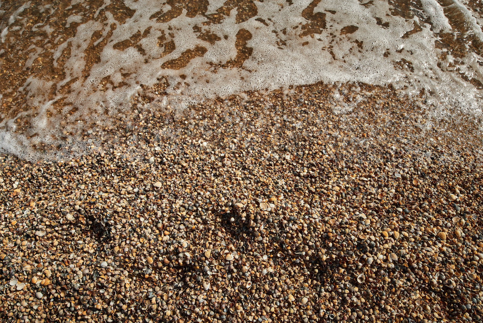 Гостевой дом Черепахи