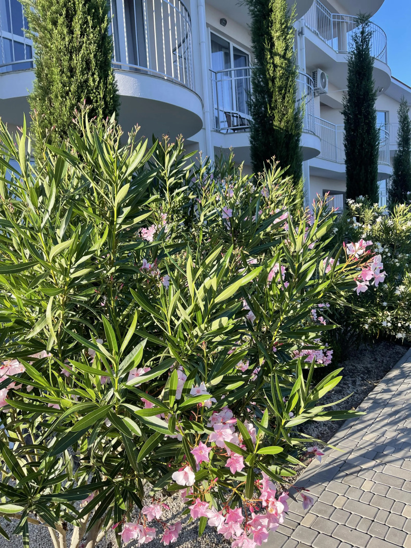 Гостевой дом The SOFI Family House