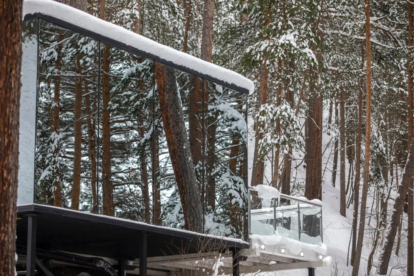 Evolution Guest House